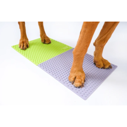 FitPaws TRAX targetit 2 kpl...