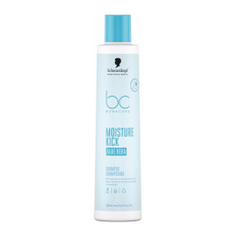 BC Moisture Kick Shampoo...