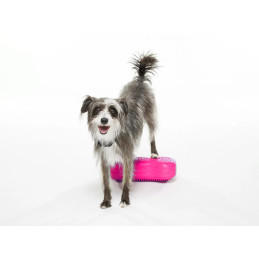 FitPAWS K9FITbone Mini...