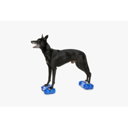 FitPAWS K9FITbone Mini...