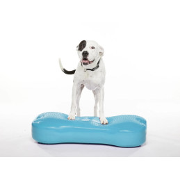 FitPAWS K9FITbone XL koiran...