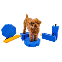 FitPAWS FitKinect -...