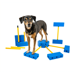 FitPAWS FitKinect -...