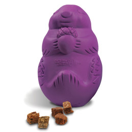 PetSafe Busy Buddy...